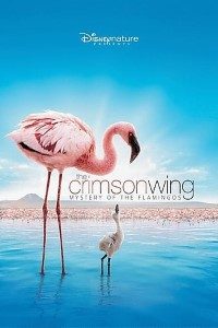 The Crimson Wing 2008 Dual Audio Hindi-English 480p 720p