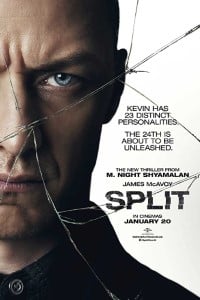 Split 2016 Dual Audio Hindi-English WEB-DL 480p 720p 1080p