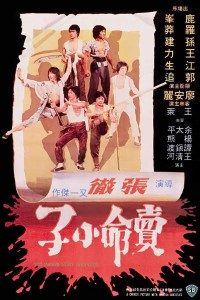 The Magnificent Ruffians 1979 Dual Audio Hindi-English 480p 720p