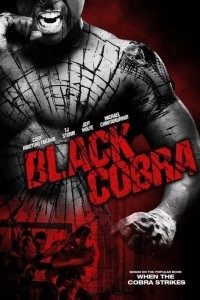 Black Cobra 2012 Dual Audio Hindi-English 480p 720p BluRay