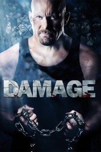 Damage 2009 Dual Audio Full Movie Hindi-English 480p 720p