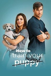 How to Train Your Husband 2018 Dual Audio Hindi-English 480p 720p BluRay