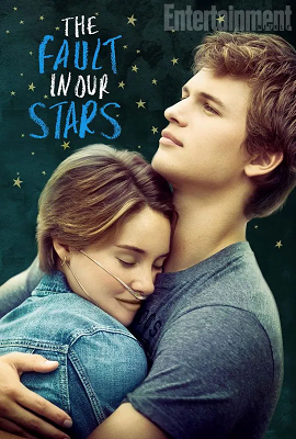 The Fault in Our Stars 2014 English With Hindi Subtitles 480p 720p