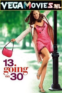 13 Going On 30 2004 Dual Audio Hindi-English 480p 720p 1080p BluRay