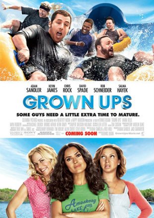Grown Ups 2010 Dual Audio Hindi 480p 720p