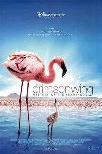 The Crimson Wing Mystery of the Flamingos 2008 Dual Audio Hindi-English 480p 720p