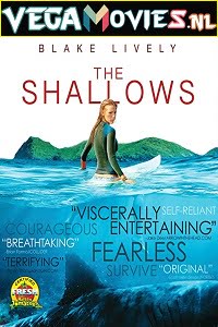 The Shallows 2016 Dual Audio Hindi-English 480p 720p 1080p