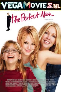 The Perfect Man 2005 Dual Audio Hindi-English 480p 720p