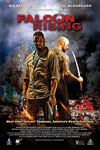 Falcon Rising 2014 Dual Audio Hindi 480p 720p
