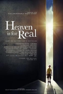 Heaven Is for Real 2014 Dual Audio Hindi-English 480p 720p