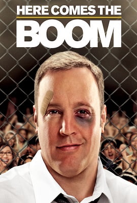 Here Comes the Boom 2012 Dual Audio Hindi 480p 720p