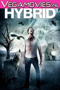 Hybrid 2015 Dual Audio Hindi-English 480p 720p
