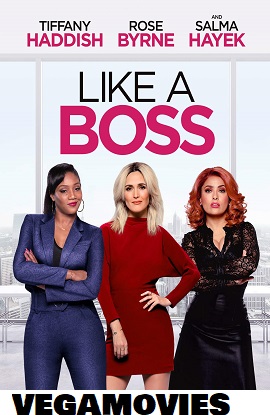 Like a Boss 2020 Dual Audio Hindi BluRay 480p 720p 1080p