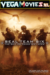 Seal Team Six The Raid on Osama Bin Laden 2012 Dual Audio Hindi 480p 720p 1080p