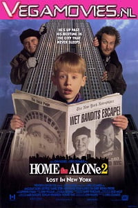 Home Alone 2 1992 Dual Audio Hindi-English 480p 720p