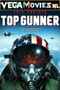 Top Gunner 2020 Dual Audio Hindi - English WeB-DL 480p 720p 1080p