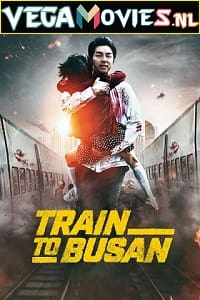 Train to Busan 2016 Dual Audio Hindi-English 480p 720p 1080p