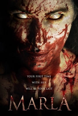 Marla 2018 Dual Audio Hindi-English 720p HDRip