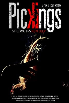 Pickings 2018 Dual Audio Hindi-English 480p 720p
