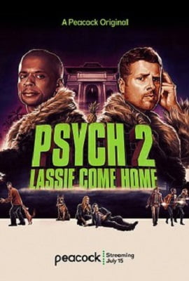 Psych 2 2020 Dual Audio Hindi-English 480p 720p