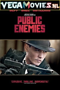 Public Enemies 2009 Dual Audio Hindi-English 480p 720p 1080p