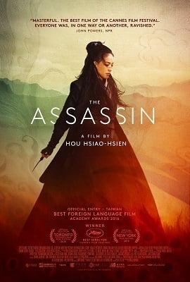 The Assassin 2015 Dual Audio Hindi-English 480p 720p