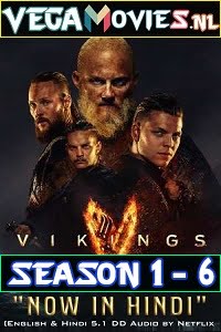 Vikings Season 1 - 6 Dual Audio Hindi-English BluRay Complete Series 480p 720p