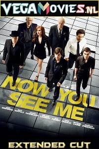 Now You See Me 2013 BluRay Extended Cut Dual Audio Hindi-English 480p 720p 1080p