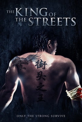 The King of the Streets 2012 Dual Audio Hindi-English 480p 720p