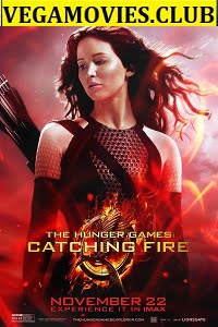 The Hunger Games Catching Fire 2013 Dual Audio Hindi-English 480p 720p 1080p