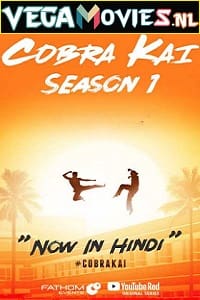 Cobra Kai 2018 Season 1 Dual Audio Hindi-English 480p 720p WEB-DL