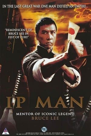 Ip Man 2008 Dual Audio Hindi-Chinese 480p 720p 1080p