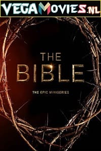 The Bible 2013 Season 1 Dual Audio Hindi-English 720p WEB-DL
