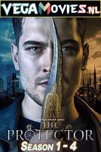 The Protector Season 1 - 4 Hindi Dubbed Complete Netflix WEB Series 480p 720p