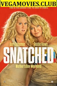 Snatched 2017 Dual Audio Hindi-English 480p 720p