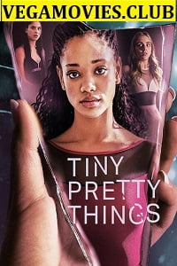 Tiny Pretty Things 2020 Season 1 Hindi Complete Netflix WEB Series 480p 720p HDRip