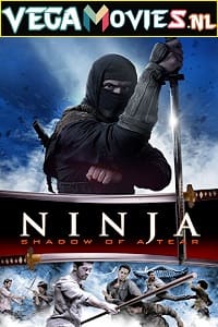 Ninja Shadow of a Tear 2013 Dual Audio Hindi-English 480p 720p