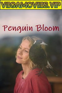 Penguin Bloom 2020 HDCAM English 480p 720p