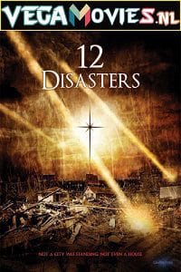 The 12 Disasters of Christmas 2012 Dual Audio Hindi-English 480p 720p
