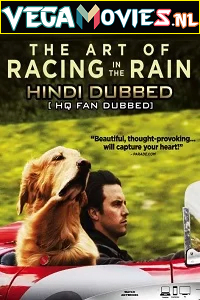 The Art of Racing in the Rain 2019 Dual Audio Hindi-English 480p 720p