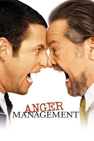 Anger Management 2003 BluRay Dual Audio Hindi-English 480p 720p 1080p