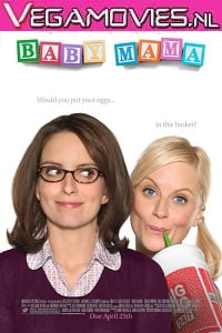 Baby Mama 2008 Dual Audio Hindi-English 480p 720p