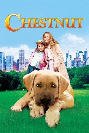 Chestnut Hero of Central Park 2004 Dual Audio Hindi-English WEB-DL 480p 720p 1080p