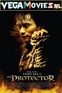 The Protector 2005 Dual Audio Hindi-English 480p 720p 1080p