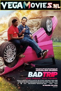 Bad Trip 2020 Dual Audio Hindi-English 480p 720p 1080p