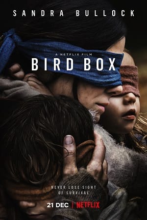 Bird Box 2022 English Hindi Subtitles Full Movie WEB-DL 480p 720p 1080p