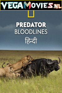 Predator Bloodlines 2021 Season 1 Hindi Complete DSNP WEB Series 480p 720p HDRip