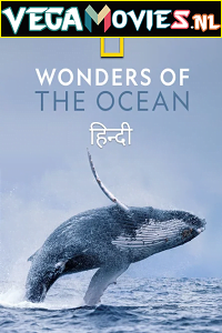 Wonders of the Ocean 2021 Season 1 Hindi Complete DSNP WEB Series 480p 720p HDRip
