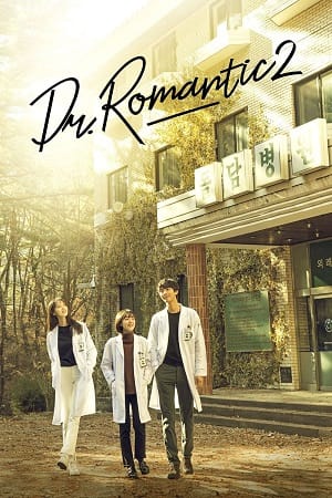 Dr. Romantic Season 1 - 2 Complete Hindi Dubbed K-Drama Series 720p WEB-DL
