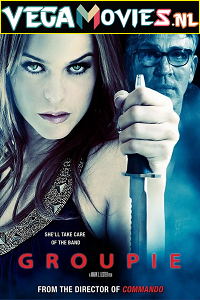 Groupie 2010 Dual Audio Hindi-English 480p 720p